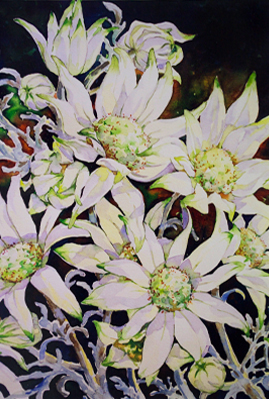 Mignon Parker Flowers No 2