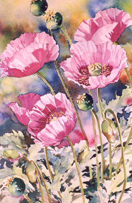 Mignon Parker Flowers No 13