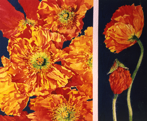 Mignon Parker Flowers No 17