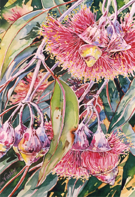 Mignon Parker Flowers No 20