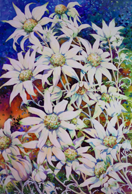 Mignon Parker Flowers No 21