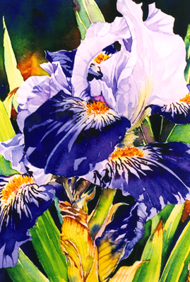 Mignon Parker Flowers No 32
